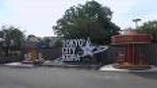 夜まで楽しめる