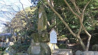 特に珍しいものでもなく……