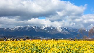 冬の晴天の日に、雪化粧をした比良山系+琵琶湖の風景を眺めるのが贅沢!