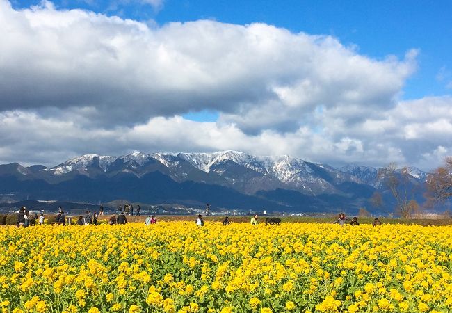 冬の晴天の日に、雪化粧をした比良山系+琵琶湖の風景を眺めるのが贅沢!