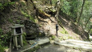 水分補給の場所だったのね