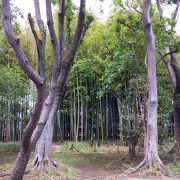 板橋区立 竹の子公園