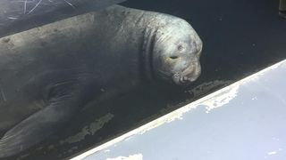 加茂水族館はクラゲで有名な公立の水族館です。