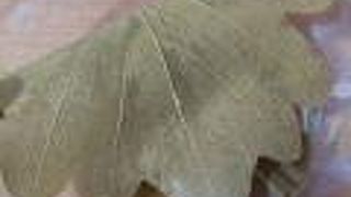 子どもの日はすごい行列でした。