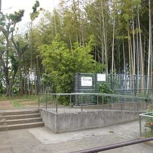 公園の様子です。