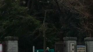 冬場はちょっと寂しい