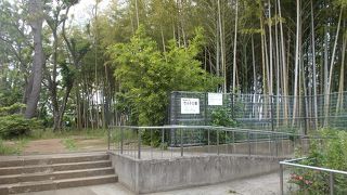 最寄り駅は東武東上線下赤塚駅です。