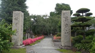 東武東上線下赤塚駅から北のエリアにある寺です。