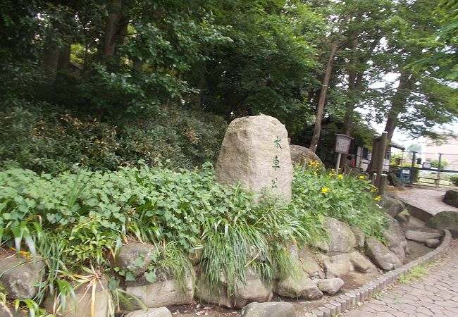 最寄り駅は東武東上線下赤塚駅になります。