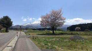 少し離れたところから