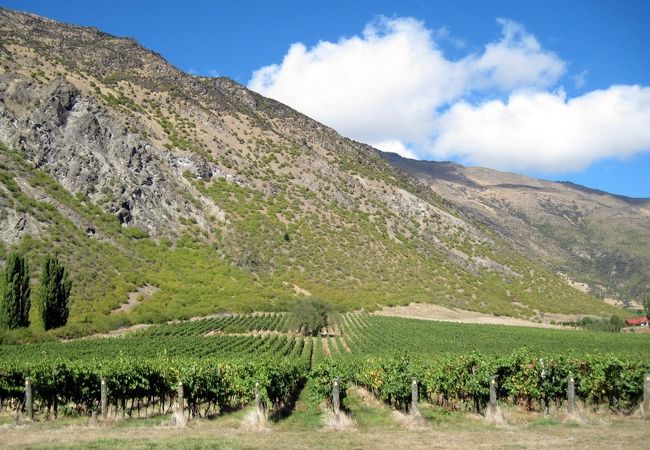 ギブストンバレー ワイナリー