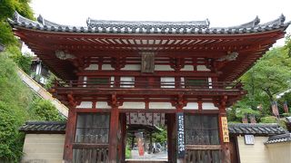 シャクナゲが少し残っていました。