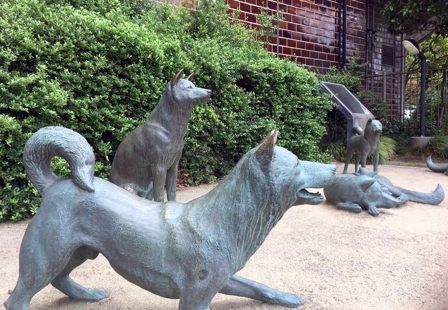 中野の犬屋敷 クチコミ アクセス 営業時間 中野 フォートラベル