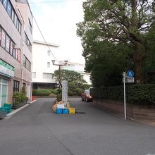 奥の白い建物が美術館です。