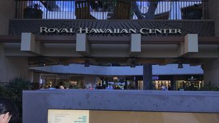 活性化に期待したいですね