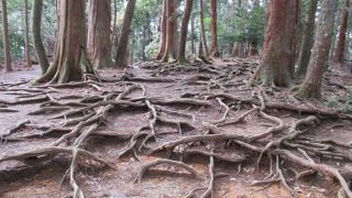 義経の身軽さはここから生まれたのよ