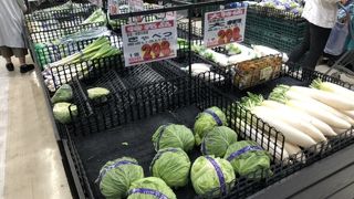 あれ！なかなかよい