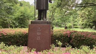 ツツジの奥に立ってます