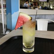 ホッキョクグマのカフェでクールダウン