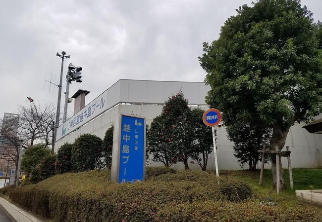 越中島プール クチコミ アクセス 営業時間 門前仲町 フォートラベル 越中島プール クチコミ アクセス 営業時間 門前仲町 フォートラベル