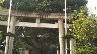 都内最大級を誇る「千貫神輿」