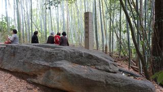 面白いデザインが