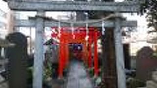 赤い鳥居が並んでいます