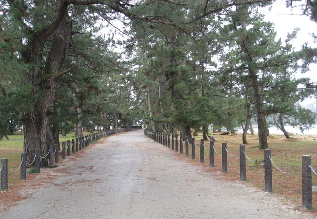 丹後天橋立大江山国定公園 クチコミ アクセス 営業時間 天橋立 宮津 フォートラベル