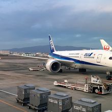 使用機材787-8。