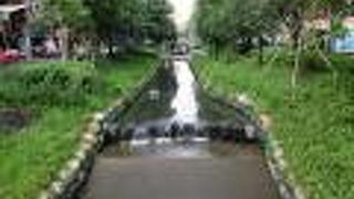 ご先祖様の息吹が感じられました