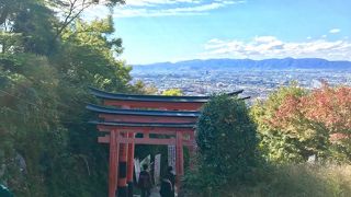 外国人旅行客に一番人気の千本鳥居