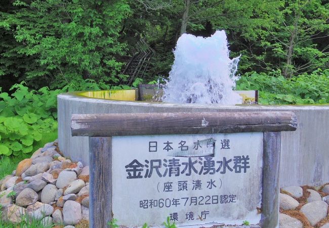 金沢清水湧水群