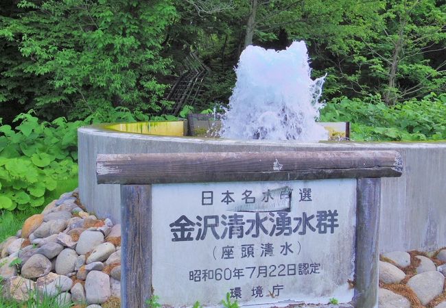 金沢清水湧水群 クチコミ アクセス 営業時間 八幡平 岩手側 フォートラベル 金沢清水湧水群 クチコミ アクセス 営業時間 八幡平 岩手側 フォートラベル