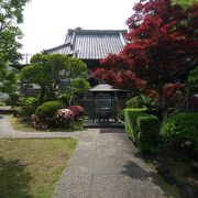 初夏の大蓮寺