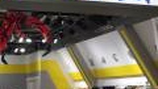 海外のチビッコに人気