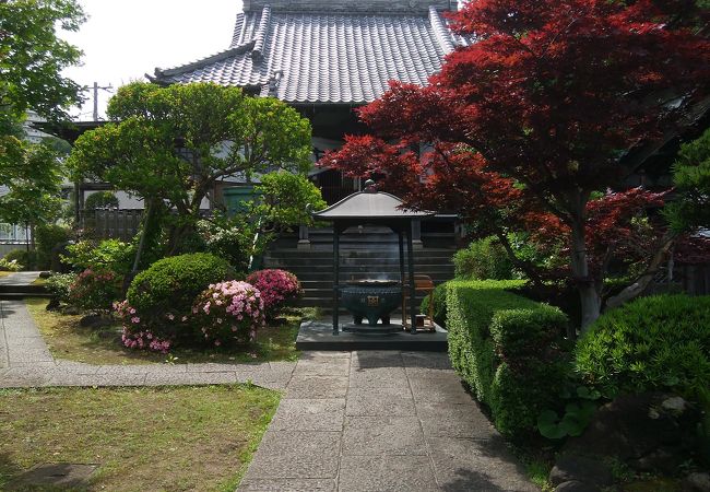 初夏の大蓮寺