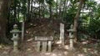 紅葉と桜が映えるスポット