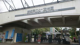 松山市駅からバスです