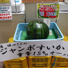 ジャンボスイカ