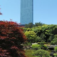 近くの見浜園からのアパホテル