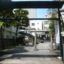 練馬の大鳥神社の鳥居の奥には、広い境内が広がっています。