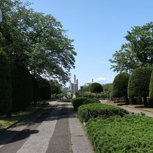 植栽はきちんと手入れされています