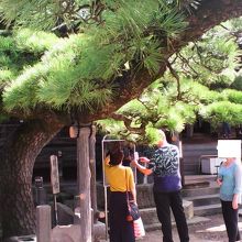 平日の10時頃でもご老人や外国人観光客の方がちらほら
