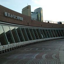 ゆるいカーブを描いた珍しい形をしてます