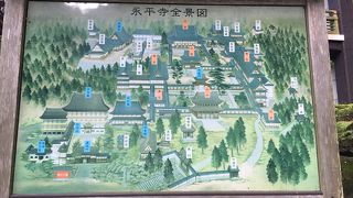 大本山の厳かな空気を身近に感じ取れます。