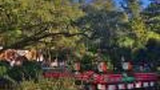 「萬葉雅楽会」の舞台