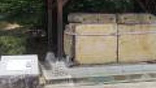 ヒチンジョ池西古墳石棺　