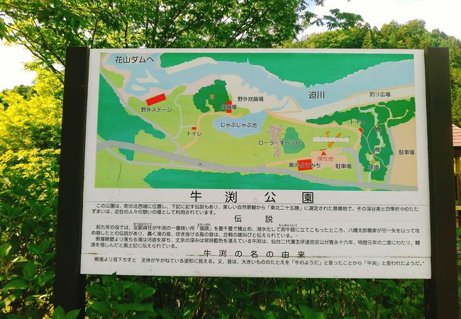 (牛渕公園)　広い芝生は野外炊飯場にもなっていいます