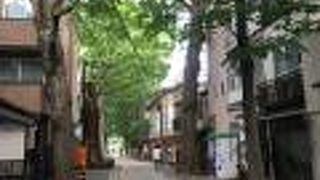 鬼子母神大門 けやき並木