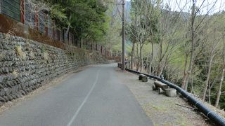 しばらく前にテレビでやっていたので行きました